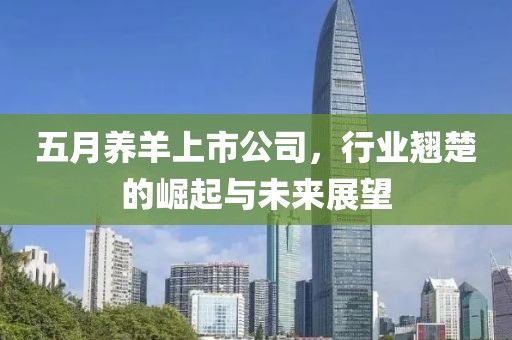 五月养羊上市公司，行业翘楚的崛起与未来展望