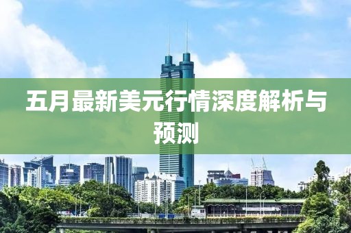 五月最新美元行情深度解析与预测