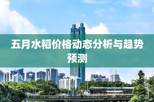 五月水稻价格动态分析与趋势预测