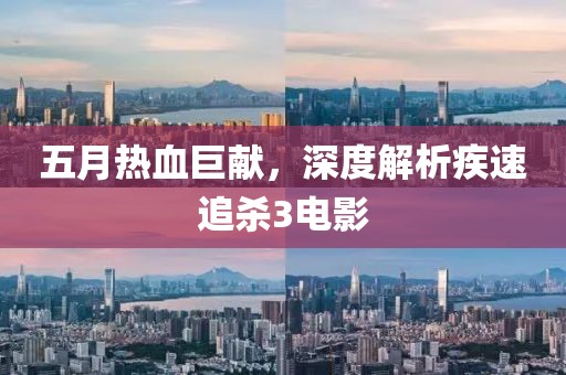 五月热血巨献，深度解析疾速追杀3电影
