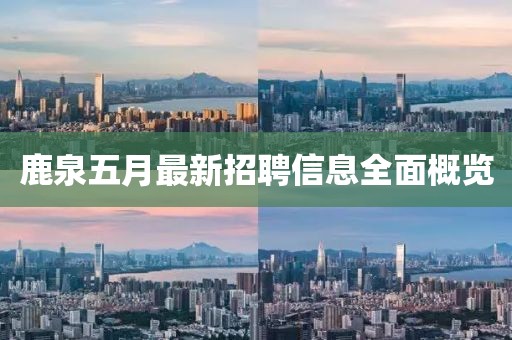 鹿泉五月最新招聘信息全面概览
