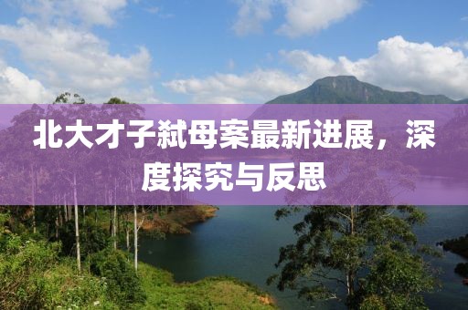 北大才子弑母案最新进展，深度探究与反思