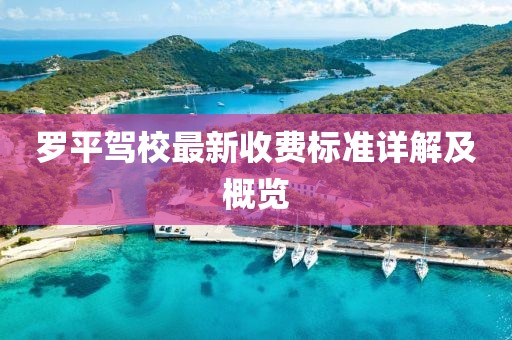 罗平驾校最新收费标准详解及概览
