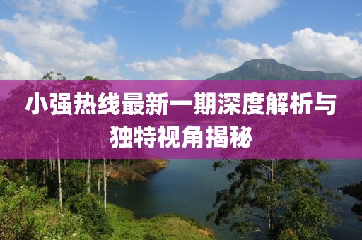 小强热线最新一期深度解析与独特视角揭秘