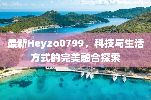 最新Heyzo0799，科技与生活方式的完美融合探索