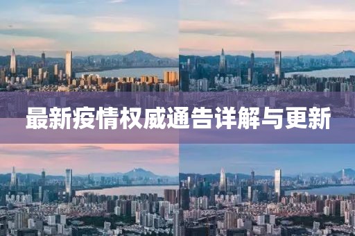 最新疫情权威通告详解与更新