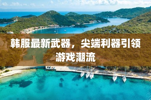 韩服最新武器，尖端利器引领游戏潮流