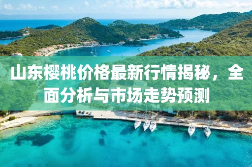 山东樱桃价格最新行情揭秘，全面分析与市场走势预测