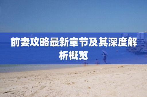前妻攻略最新章节及其深度解析概览