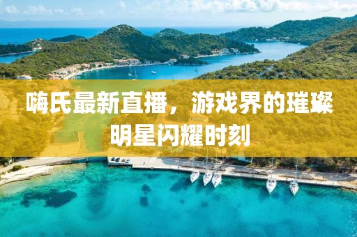 嗨氏最新直播，游戏界的璀璨明星闪耀时刻