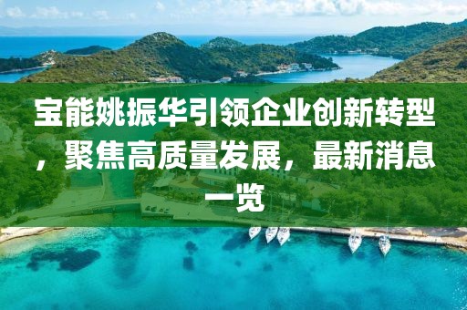 宝能姚振华引领企业创新转型，聚焦高质量发展，最新消息一览