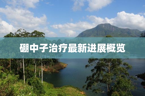 硼中子治疗最新进展概览