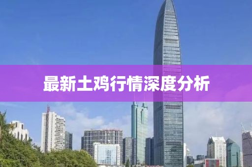 最新土鸡行情深度分析