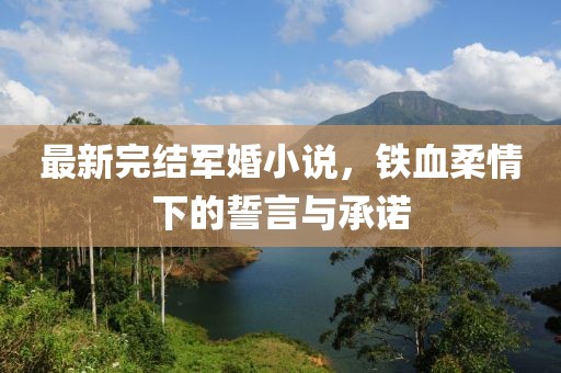 最新完结军婚小说，铁血柔情下的誓言与承诺