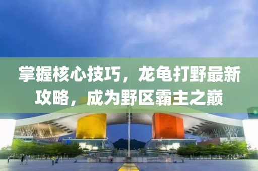 掌握核心技巧，龙龟打野最新攻略，成为野区霸主之巅
