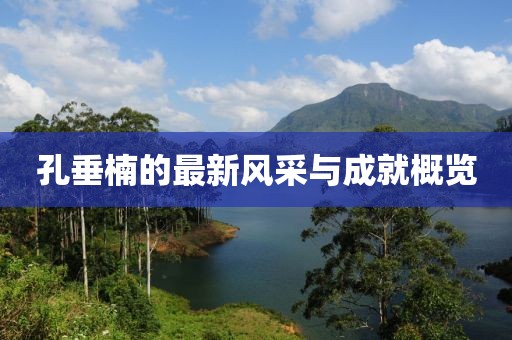 孔垂楠的最新风采与成就概览