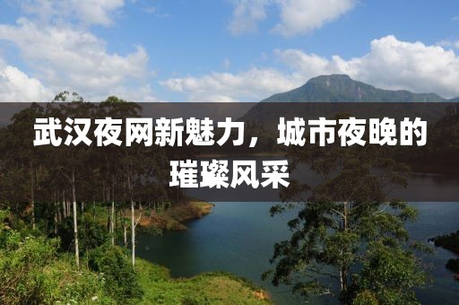 武汉夜网新魅力，城市夜晚的璀璨风采