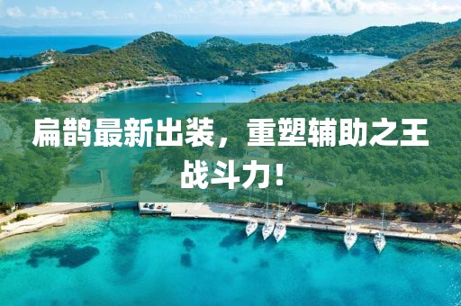 扁鹊最新出装，重塑辅助之王战斗力！