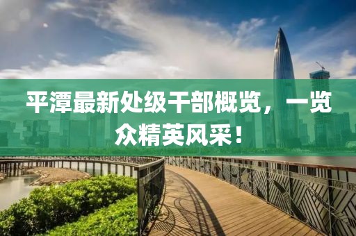 平潭最新处级干部概览，一览众精英风采！