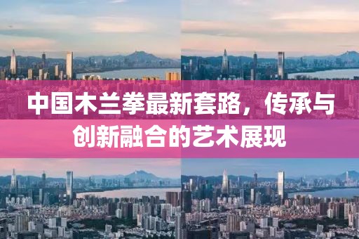 中国木兰拳最新套路，传承与创新融合的艺术展现