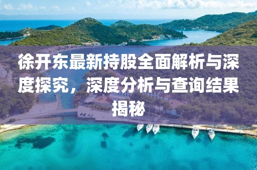 徐开东最新持股全面解析与深度探究，深度分析与查询结果揭秘