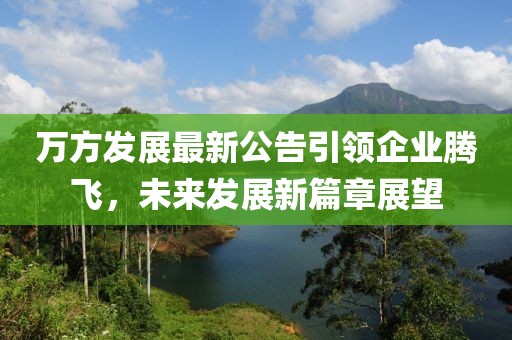 万方发展最新公告引领企业腾飞，未来发展新篇章展望