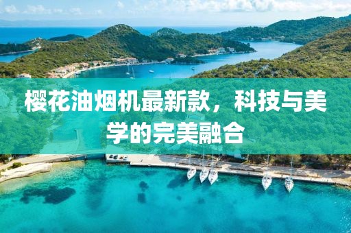 樱花油烟机最新款，科技与美学的完美融合
