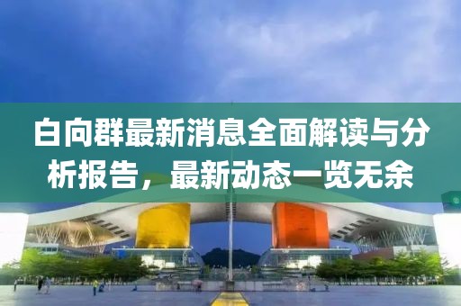 白向群最新消息全面解读与分析报告，最新动态一览无余