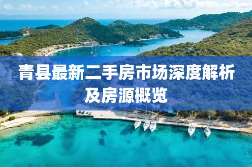 青县最新二手房市场深度解析及房源概览