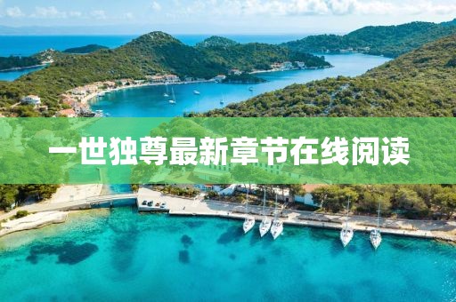 一世独尊最新章节在线阅读