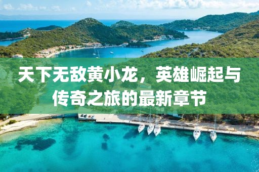 天下无敌黄小龙，英雄崛起与传奇之旅的最新章节