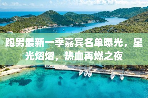 跑男最新一季嘉宾名单曝光，星光熠熠，热血再燃之夜
