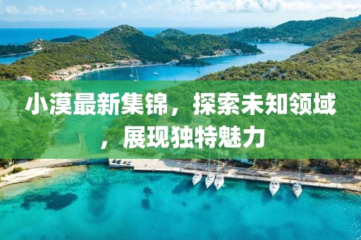 小漠最新集锦，探索未知领域，展现独特魅力