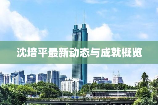 沈培平最新动态与成就概览