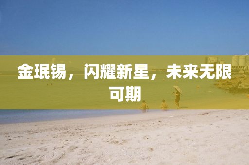金珉锡，闪耀新星，未来无限可期