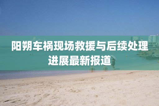 阳朔车祸现场救援与后续处理进展最新报道