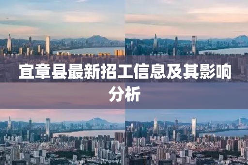 宜章县最新招工信息及其影响分析