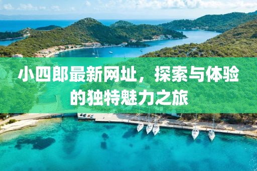 小四郎最新网址，探索与体验的独特魅力之旅