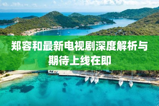 郑容和最新电视剧深度解析与期待上线在即