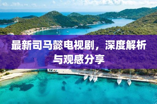 最新司马懿电视剧，深度解析与观感分享