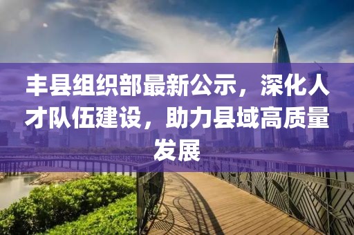 丰县组织部最新公示，深化人才队伍建设，助力县域高质量发展