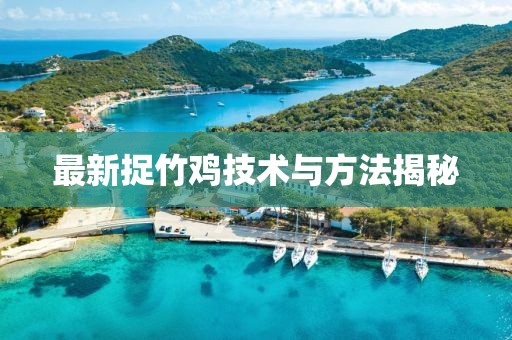 最新捉竹鸡技术与方法揭秘