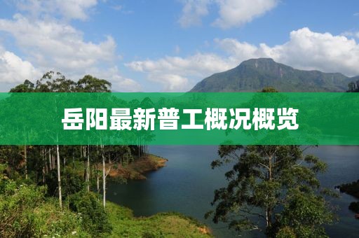 岳阳最新普工概况概览