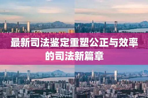 最新司法鉴定重塑公正与效率的司法新篇章