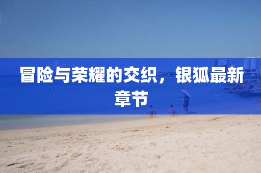 冒险与荣耀的交织，银狐最新章节