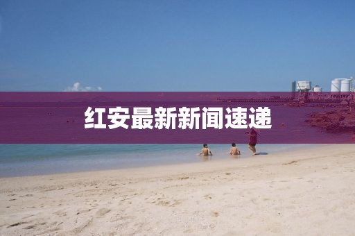 红安最新新闻速递