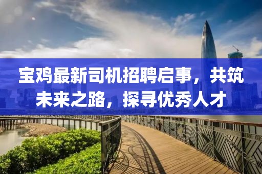 宝鸡最新司机招聘启事，共筑未来之路，探寻优秀人才