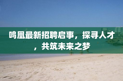 鸣凰最新招聘启事，探寻人才，共筑未来之梦