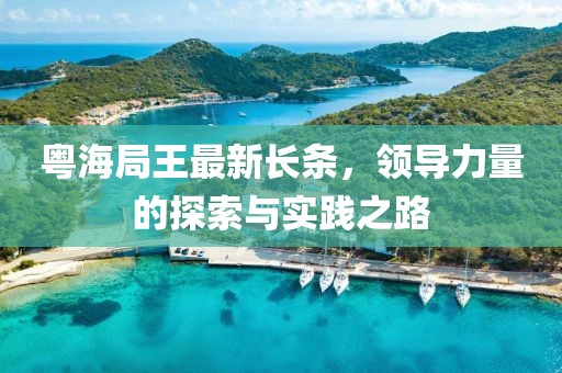 粤海局王最新长条，领导力量的探索与实践之路