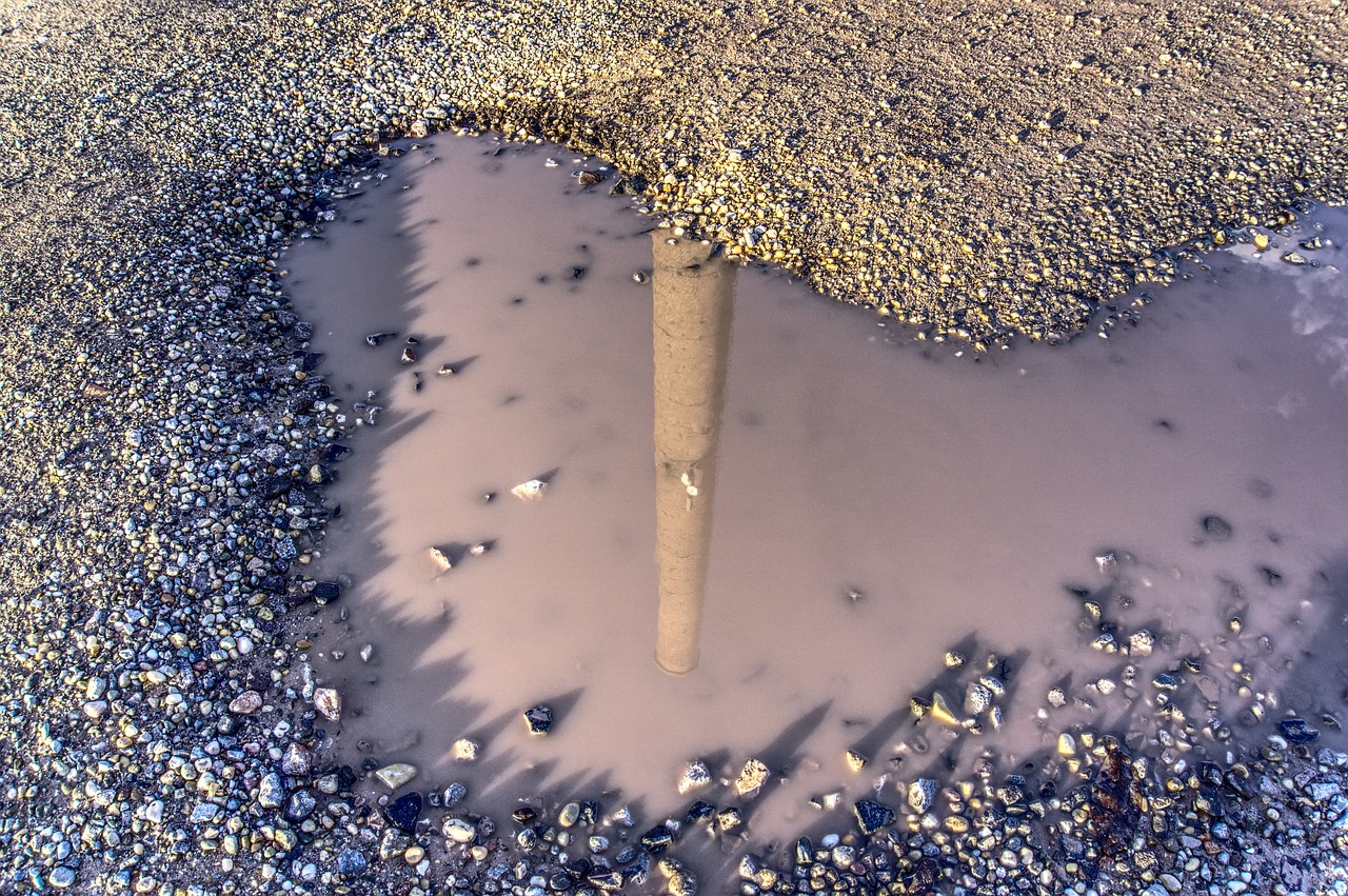 傅园慧最新动态，持续闪耀的体育明星之路